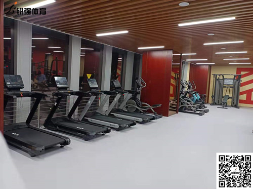 乐盈VI完成的济南某部门单位健身房