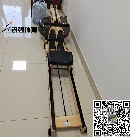 淄博某小区业主在乐盈VI选购的划船机