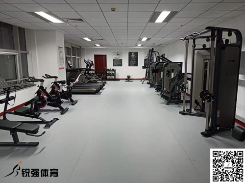 济南某集团采购的乐盈VI提供的健身器材