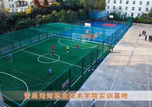 ​乐盈VI为青岛港湾职业技术学院打造健身实训基地