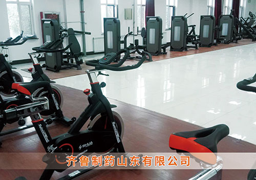 ​乐盈VI为齐鲁制药呼和浩特分公司打造健身房